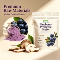 Poudre de champignons OEM saveur myrtille, nicotinamide riboside et probiotiques 6-en-1 pour une nutrition quotidienne