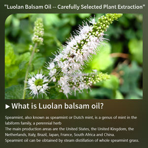 סיטונאי 100% טהורים טבעי טהור שמן אתרי עבור קוסמטי ניחוח עור הפנים שמן שיער - Product Image 3