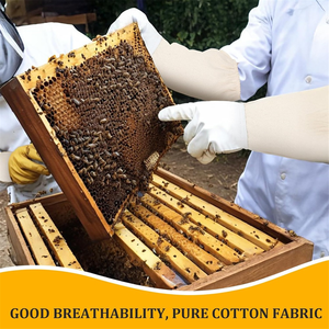 NUEVO Shengxiangmei Guantes de apicultura Sombreros Velo de esgrima Mosquitera Sombrero de red para el sol con máscara de malla de red oculta Garantía de 1 año - Product Image 5