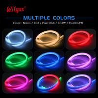 Lampu Penerangan Bangunan IP65 untuk Hotel, Lampu Neon Tali 360 Derajat Super Terang D22mm Silikon Program WS2811 Pixel RGB LED Strip Light