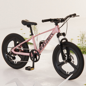 20 Inch Kids Mountain Bicycle Aluminum Alloy Lightweight Frame One-Piece <strong>Mold</strong> Wheel Dual Disc Brake Shock Absorbing Steel - Product Image 4