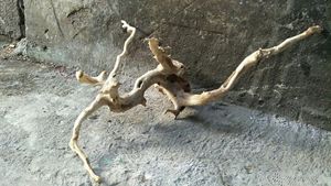 Goedkope Bonsai Aquarium Van Drijfhout Wortels Groothandel - Product Image 2