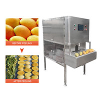 Usine Genyond automatique éplucheur de fruits équipement agrumes orange citron épluchage machine utilisée pour industriel