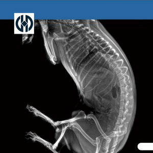ระบบถ่ายภาพรังสีเอกซ์ดิจิทัลสำหรับสัตว์ พร้อมฟังก์ชันพิมพ์ภาพ/เขียนแผ่นซีดี/สำรองข้อมูลลงยูดิสก์ เพื่อการจัดเก็บข้อมูลที่สะดวก - Product Image 4