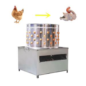 Machine à plumer les poulets automatique de haute qualité 110V/220V/380V avec roulement de moteur, facile à utiliser, garantie de 2 ans, testée et certifiée - Product Image 3