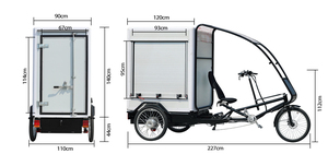 90km độ bền phong cách mới 1000Watt động cơ công suất cao điện hàng hóa giao hàng Trike ba bánh - Product Image 6