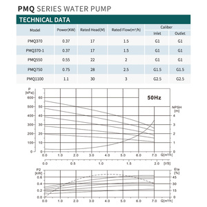 ปั๊มน้ำแบบจุ่ม <span class=keywords><strong>PMQ</strong></span> เกรดอุตสาหกรรมสำหรับงานพาณิชย์ขนาดเล็ก ตัวเรือนสแตนเลส สำหรับจ่ายน้ำ - Product Image 4