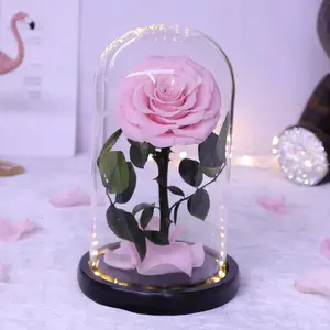 Ultimi 5 anni copertura di vetro conservato per sempre vere rose conservate livello di rose un attivo amore conservato rose con luce a Led