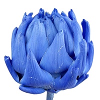 YNWYH A001 Bunga Artichoke Kering Tunggal yang Diawetkan, Dekorasi Rumah & Pernikahan, Bahan Kerajinan DIY, Langsung dari Pabrik