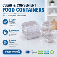 WH91 Cajas de Embalaje para Frutas y Sándwiches de Plástico Transparente Desechables Personalizadas al por Mayor, Hechas con Materiales Reciclados, Muestra Gratis