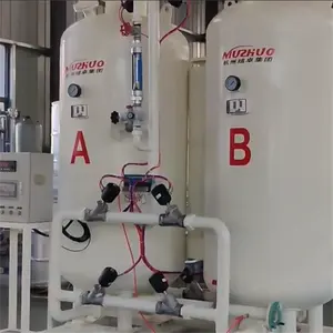 NUZHUO Promotional Price PSA Oxygen Production Plant Small Size In 1 Skid Oxygen Generating Plant