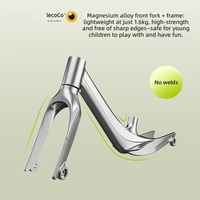 Vélo d'équilibre pour enfants sans pédales, vélo à roulettes pour enfants de 2 à 6 ans, trotteur pour tout-petits, cycle de glisse pour bébés