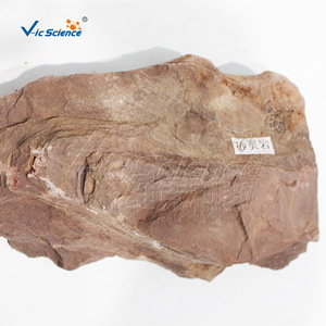 Natural sandstone and shale specimen; transitional lithology of sandy and argillaceous material; clear bedding structure; - Product Image 3