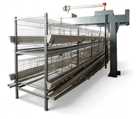 Cages à poules de type H pouvant être équipées d'un équipement automatisé