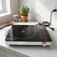 Table de cuisson à induction portable 2200W, brûleur unique, commande tactile, chauffage rapide, cuisinière électrique avec panneau en verre trempé
