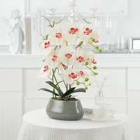 Fleurs artificielles de luxe en soie Phalaenopsis Orchidée dans un pot en céramique 43cm Feuilles en PU importées Prêtes à l'emploi Faux orchidée Centre de table