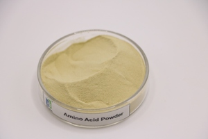 Acide aminé Oligo-élément Engrais, Bore Zinc Calcium Magnésium <span class=keywords><strong>Fer</strong></span> Oligo-élément Engrais. Engrais d'acides aminés - Product Image 3