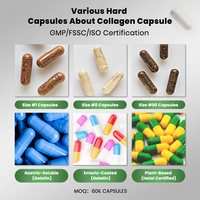 Complexe multi-collagène Lifeworth Vitamins, types I, II, III, V, X, nourri à l'herbe, non OGM, capsule pour éclaircir la peau des adultes