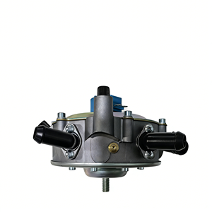 Regulador de Autogás LPG Lovato de Alta Potencia, Nuevo, Kit de Conversión, Reductor de Acero y Aluminio de Alta Calidad con Vacío - Product Image 6