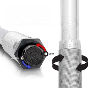 32-piece Adjustable Torque High-precision 1/4 "5-25N.m &amp; 3/8" 5-60N.m &amp; 1/2 "28-210N.m Flat <strong>Tube</strong> Torque <strong>Wrench</strong> <strong>Set</strong> - Product Image 6