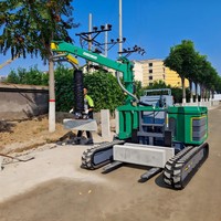 Chariot élévateur à chenilles avec mât pliable pour la pose de pavés, dalles naturelles et composants en béton