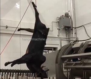 Nouvel équipement de <span class=keywords><strong>boucherie</strong></span> de machine d'abattage de bétail et de porc avec des composants de PLC de noyau pour la ligne d'abattage de maison de viande - Product Image 1