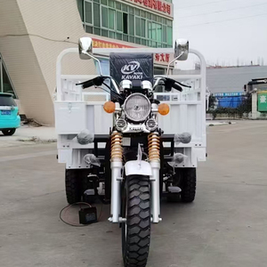 Triciclo de gas de 300CC para transporte comercial y cargas pesadas - Product Image 4