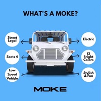 Mini coche eléctrico aprobado por la CEE de 96V para 4 personas impermeable de aluminio Moke Beach Buggy Cars Morris Mini Moke