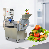 Coupe-légumes professionnel en acier inoxydable multifonctionnel à double tête pour julienne, dés et tranches, garantie nationale
