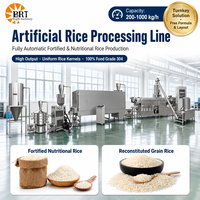 Nouvelle machine à riz artificiel à double vis électrique en acier inoxydable brillant, grande capacité, machine à fabriquer du riz enrichi, CE ISO