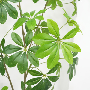 Árbol <span class=keywords><strong>Schefflera</strong></span> Artificial <span class=keywords><strong>de</strong></span> Lujo <span class=keywords><strong>de</strong></span> Alta Gama en Maceta, Bonsái Artificial, Vegetación Artificial al por Mayor para Decoración <span class=keywords><strong>de</strong></span> Interiores <span class=keywords><strong>de</strong></span> Hogar, Jardín, Oficina y Tienda - Product Image 5