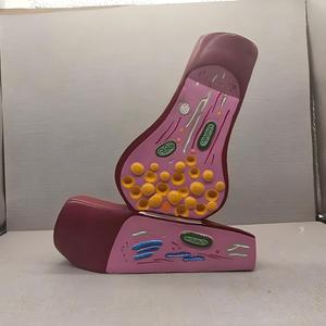 Modèle de structure de <span class=keywords><strong>la</strong></span> synapse neuronale et de <span class=keywords><strong>la</strong></span> fibre nerveuse - Modèle pédagogique d'enseignement de <span class=keywords><strong>la</strong></span> neuroanatomie pour l'éducation en <span class=keywords><strong>neurosciences</strong></span> - Product Image 4