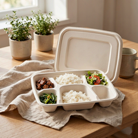 Barquette alimentaire jetable en pulpe de bagasse de canne à sucre moulée avec compartiments et couvercle pour cantine, restauration, buffet et livraison