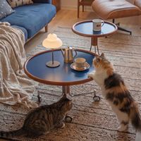 Tables basses rondes, tables d'appoint, chariot mobile en acier inoxydable de style antique pour salon, plateau ignifuge pour salon et balcon