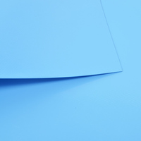 Feuille de PVC de haute qualité de 0.6mm en rouleau pour piscine gonflable