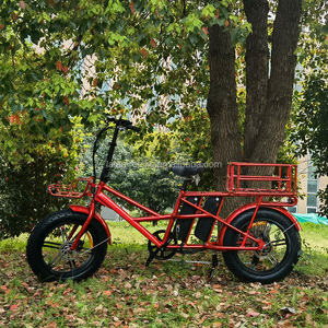 Consegna <span class=keywords><strong>bicicletta</strong></span> <span class=keywords><strong>elettrica</strong></span> con cestini anteriori e posteriori bici da carico <span class=keywords><strong>per</strong></span> pneumatici grassi da 20 pollici con doppia batteria - Product Image 4