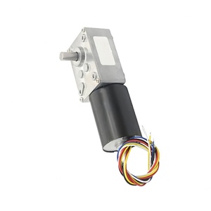 5840-3650 DC Brushless Deceleration Motor Low Speed High Torque <b>Worm</b> Gear Speed Micro Motor - Product Image 1