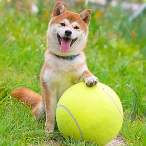 Balle de tennis géante de 9,5 pouces pour chiens, jouet gonflable pour animaux de compagnie, balle surdimensionnée de 24 cm avec logo personnalisé - Product Image 6