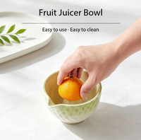 Nouveau 2026 – Bol à jus manuel multifonctionnel en céramique, créatif et très vendu, pour purée de fruits, idéal pour la maison et les fêtes