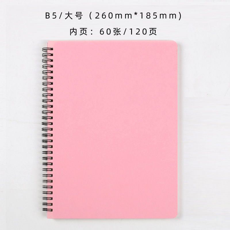 B5 Pink