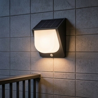 Lampe murale solaire IP54 avec capteur de proximité optique, portée de détection 5-6m, mono silicium, LED 0.2W, 3 CCT, liaison 2.4G, pour extérieur et jardin