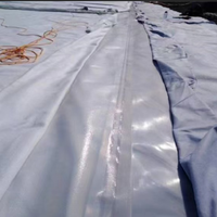 Композитная геомембрана (HDPE/LDPE) для защиты от проникновения и разрывов, прочная, водонепроницаемая, для прудов, рыбоводческих хозяйств, плотин, оснований и укрепления грунта