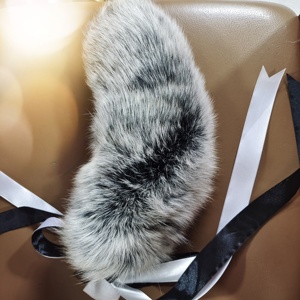 Juguetes Anales <span class=keywords><strong>de</strong></span> Metal con Cola <span class=keywords><strong>de</strong></span> Zorro Extraíble <span class=keywords><strong>de</strong></span> 7 Colores, Tapón Anal, Juguetes Eróticos, Tapón Anal, Juguetes Sexuales <span class=keywords><strong>para</strong></span> Mujeres y <span class=keywords><strong>Hombres</strong></span>, Tapón Anal Sexy <span class=keywords><strong>para</strong></span> Adultos - Product Image 2