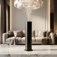 Diffuseur d'huiles essentielles aromatiques de luxe pour la maison, en métal blanc, 120 ml, vente en gros