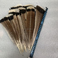 Vente en gros de plumes d'aigle de dinde brutes naturelles de 25 à 30 cm pour le bricolage, la décoration de mariage en stock