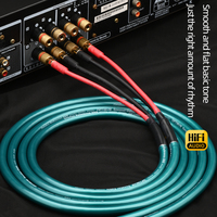 Cable de Altavoz de Alta Gama con Conector Tipo Y Banana Chapado en Oro con Cobre Puro OCC 8N para Monitor y Proyector, con Certificación CE para Sistema Hi-Fi