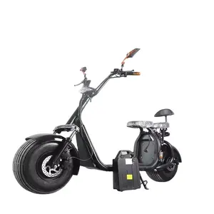 Bateria de reposição para scooter Harley Citycoco Bateria de lítio removível 60v 12ah 20ah