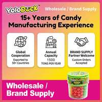 Yoloduck Sealed Fresh Keeping Sour Hard Candy 18 Months Mint Hard Candy
