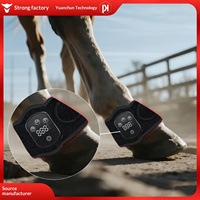 Lampe de luminothérapie rouge en forme de fer à cheval pour la physiothérapie équine, appareil sans fil avec soutien intensif pour l'exercice