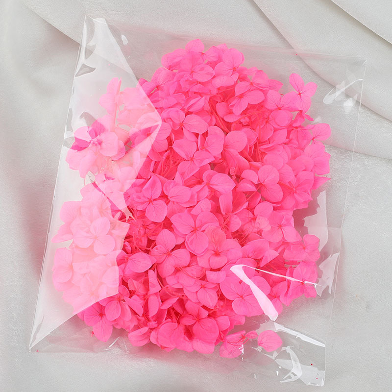 Rose rouge